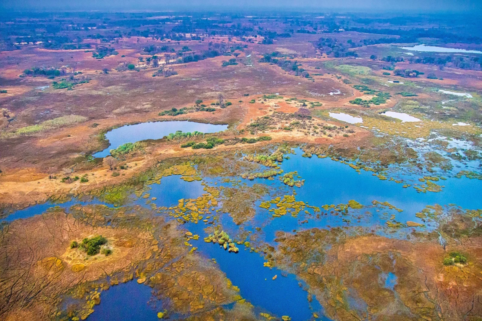 An aerial view of wetlands, waterways and natural vegetation